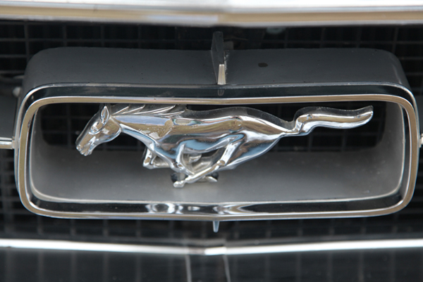 ivvvc_sep_30_2012_memorial_run_photosby_burban_copyright_reserved_47